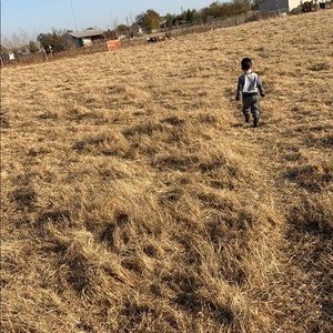 Meet your Posher, Noel